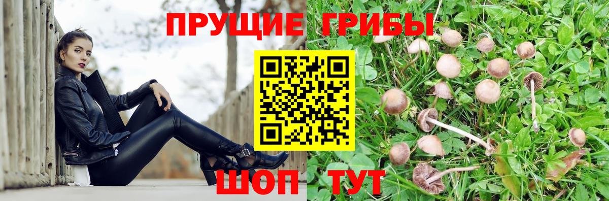 Скопин  Псилоцибиновые грибы Magic Shrooms  как найти закладки  Псилоцибиновые грибы Cubensis  Вход с VPN 